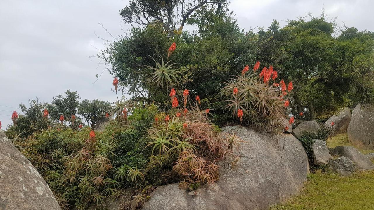 Mdzimba Mountain Lodge 埃祖尔韦尼 外观 照片
