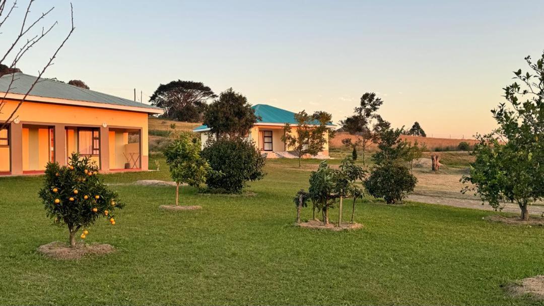 Mdzimba Mountain Lodge 埃祖尔韦尼 外观 照片
